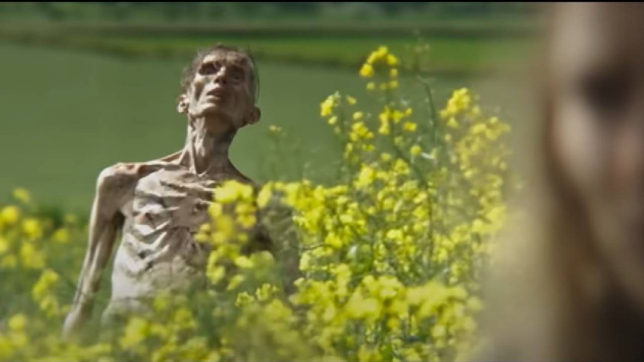 'Exterminio: 28 años después': Todo lo que debes saber sobre la película