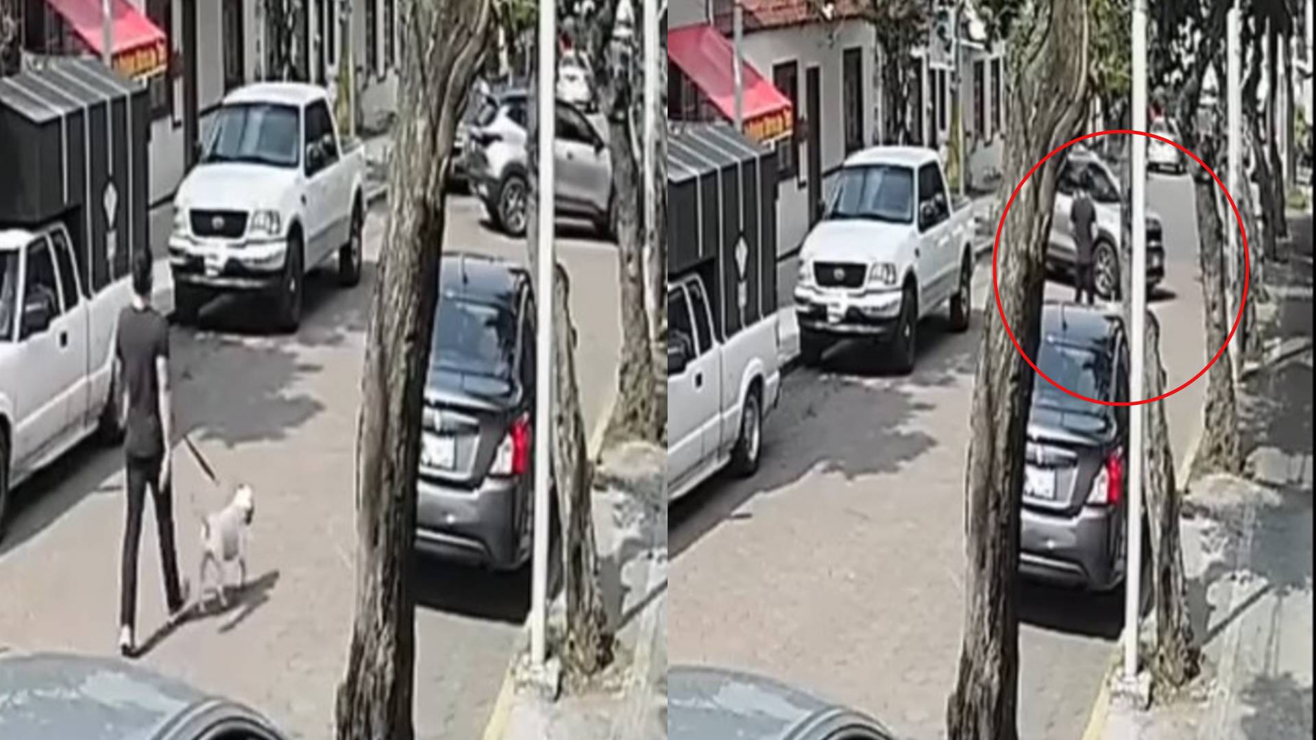 Camioneta atropella a peatón junto a su perro