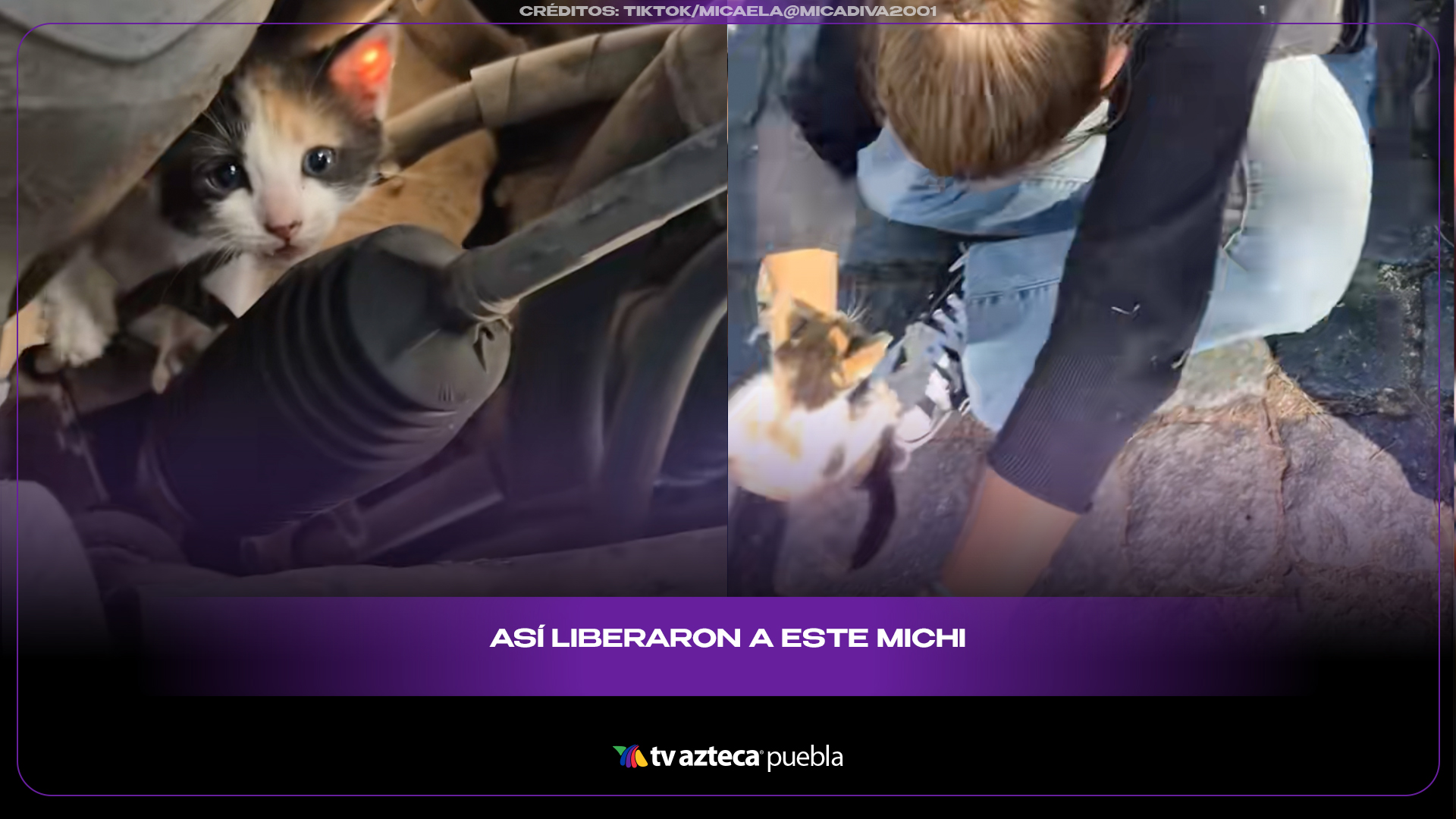 Rescatan a gatito atrapado bajo un auto y conmueven a redes