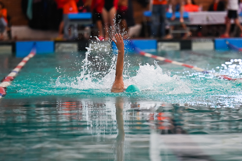 Natacion_2/natacion_290.jpg