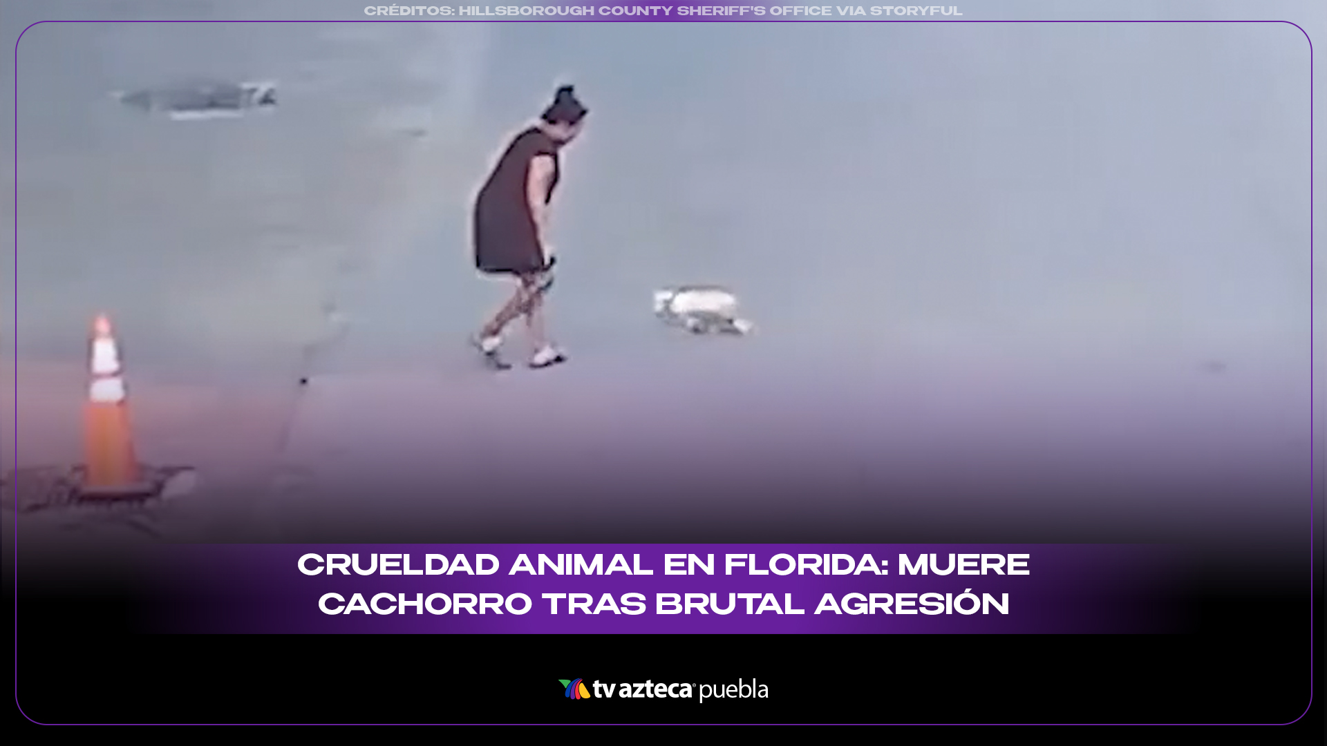 Crueldad animal en Florida: muere cachorro tras brutal agresión y detienen a mujer - VIDEO FUERTE