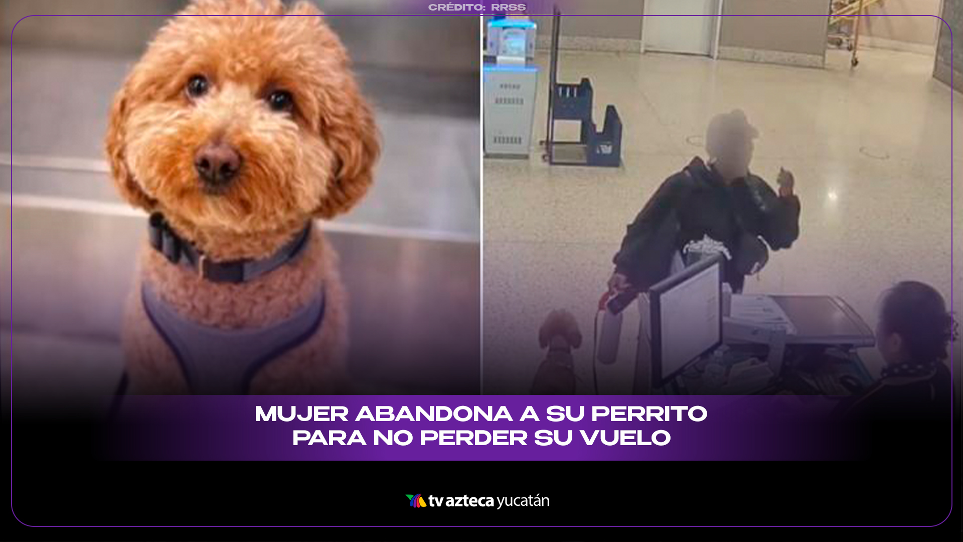 Las Vegas: mujer abandona a su perro en el aeropuerto tras no poder ...