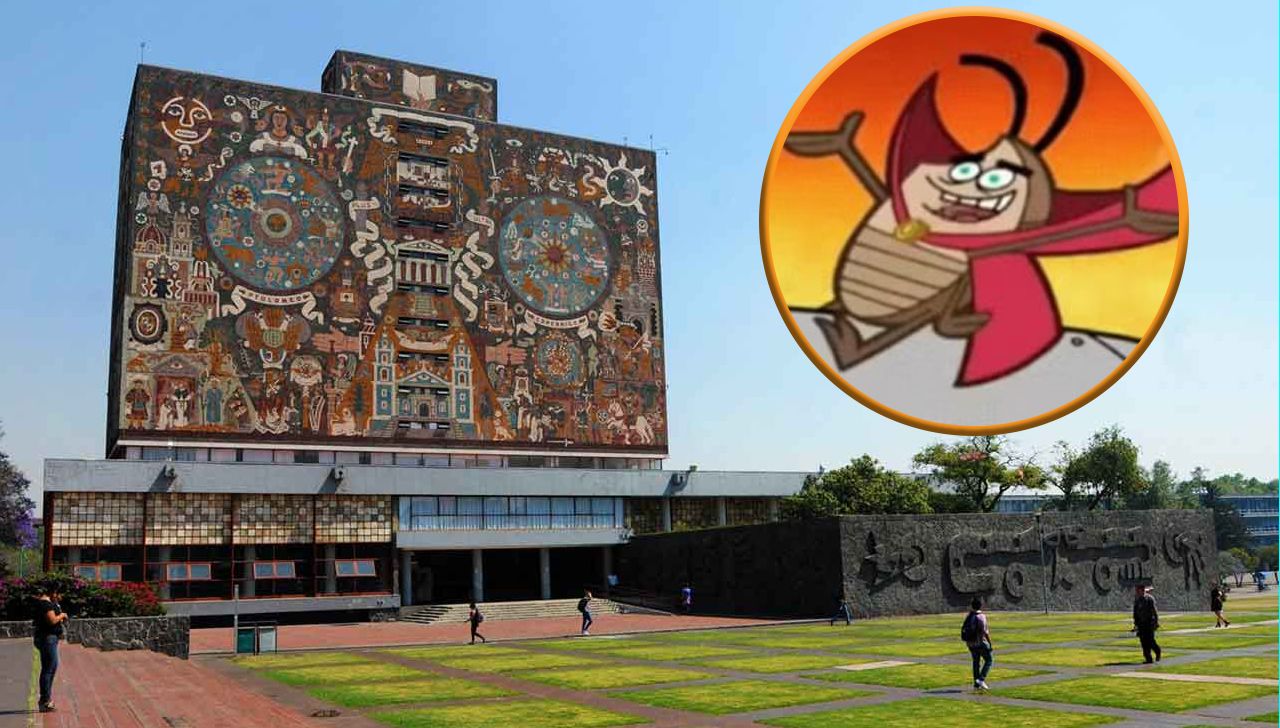 Plaga de chinches en la UNAM provoca ola de memes