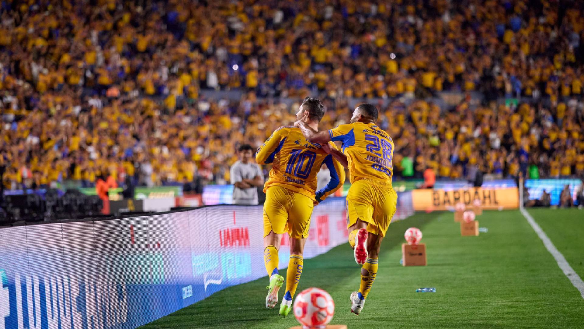 ¿Cómo y dónde ver el Tigres vs Querétaro de la jornada 11 del Clausura ...