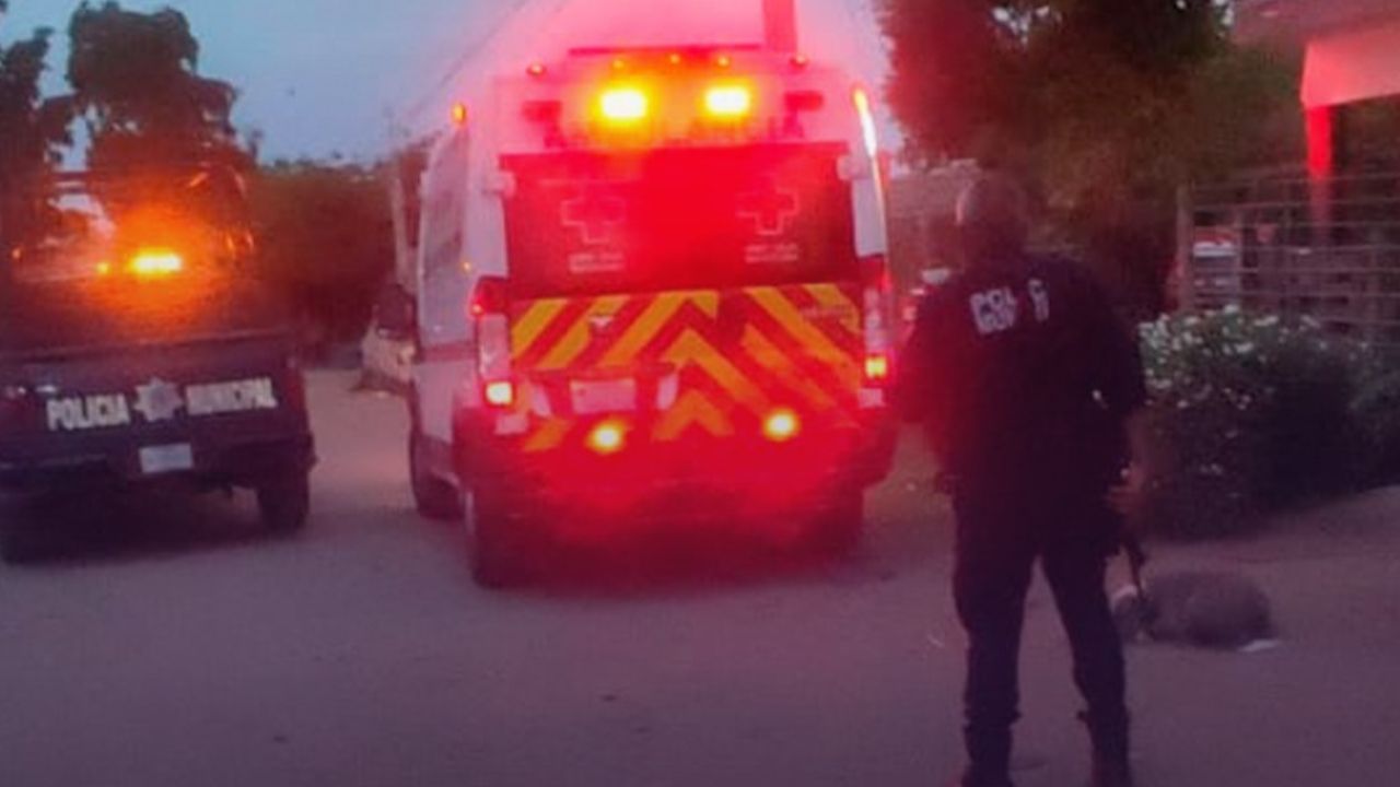 Hombre es balaceado tras robar unos calzones en Los Mochis, ¿cómo ...