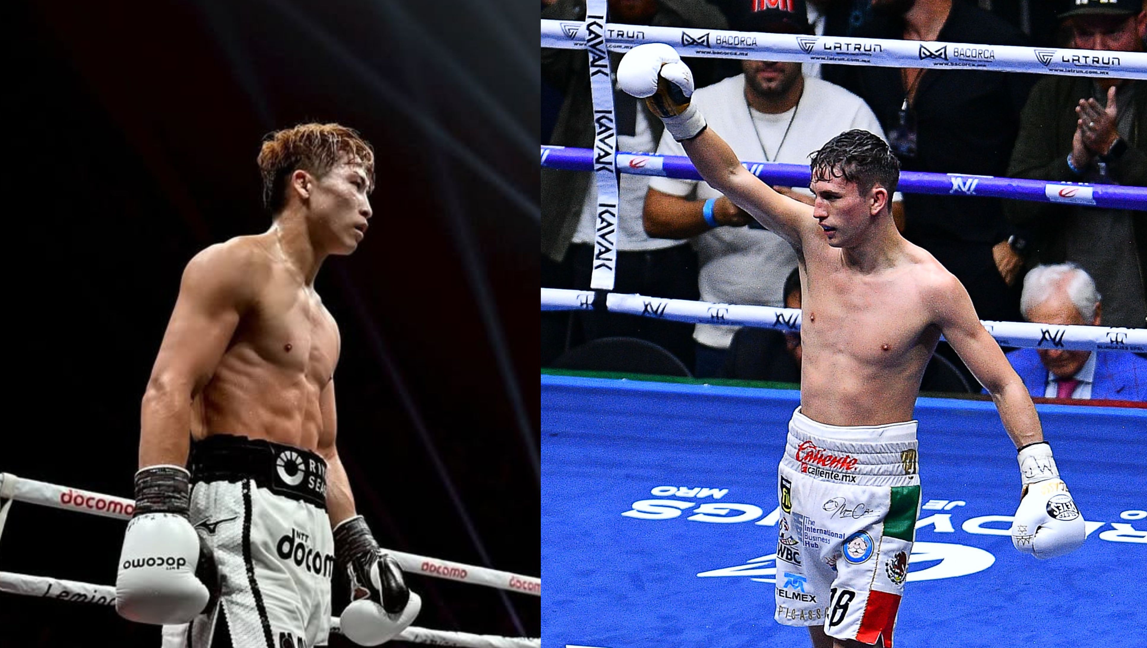 Récord y carrera de Alan David 'Rey' Picasso, el boxeador mexicano que ...