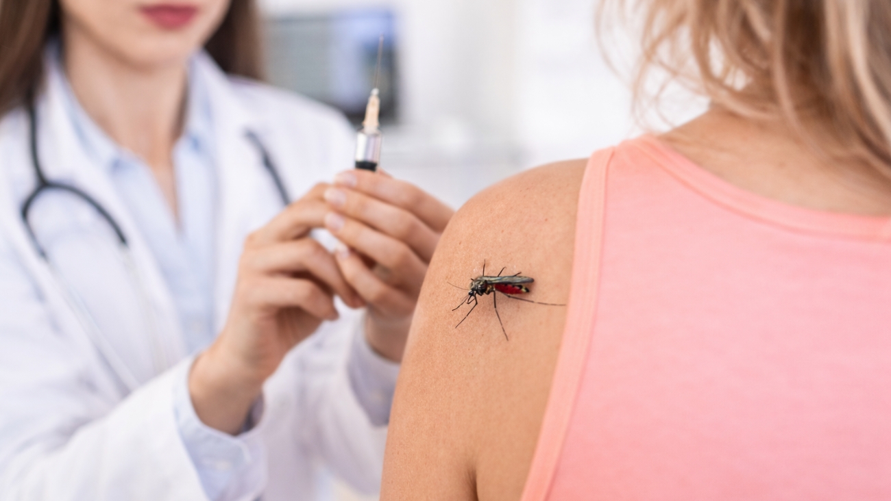 Aumentan contagios mortales de fiebre amarilla y especialistas advierten expansión de virus