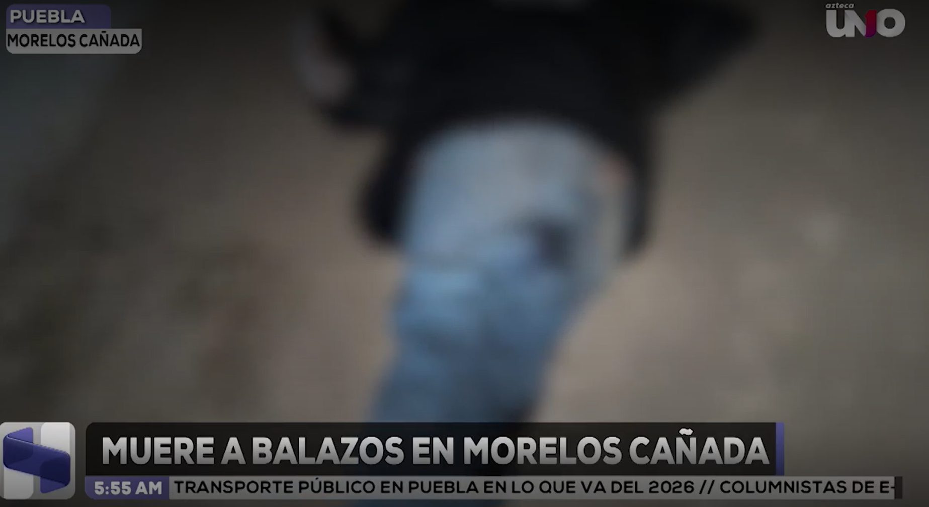Trágico hallazgo en Cañada Morelos, Puebla: Localizan a joven sin vida