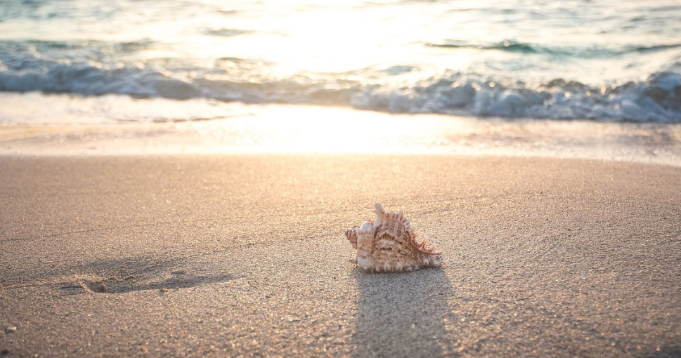 ¡Toma nota! Estos son los días de asueto que habrá en abril de 2026