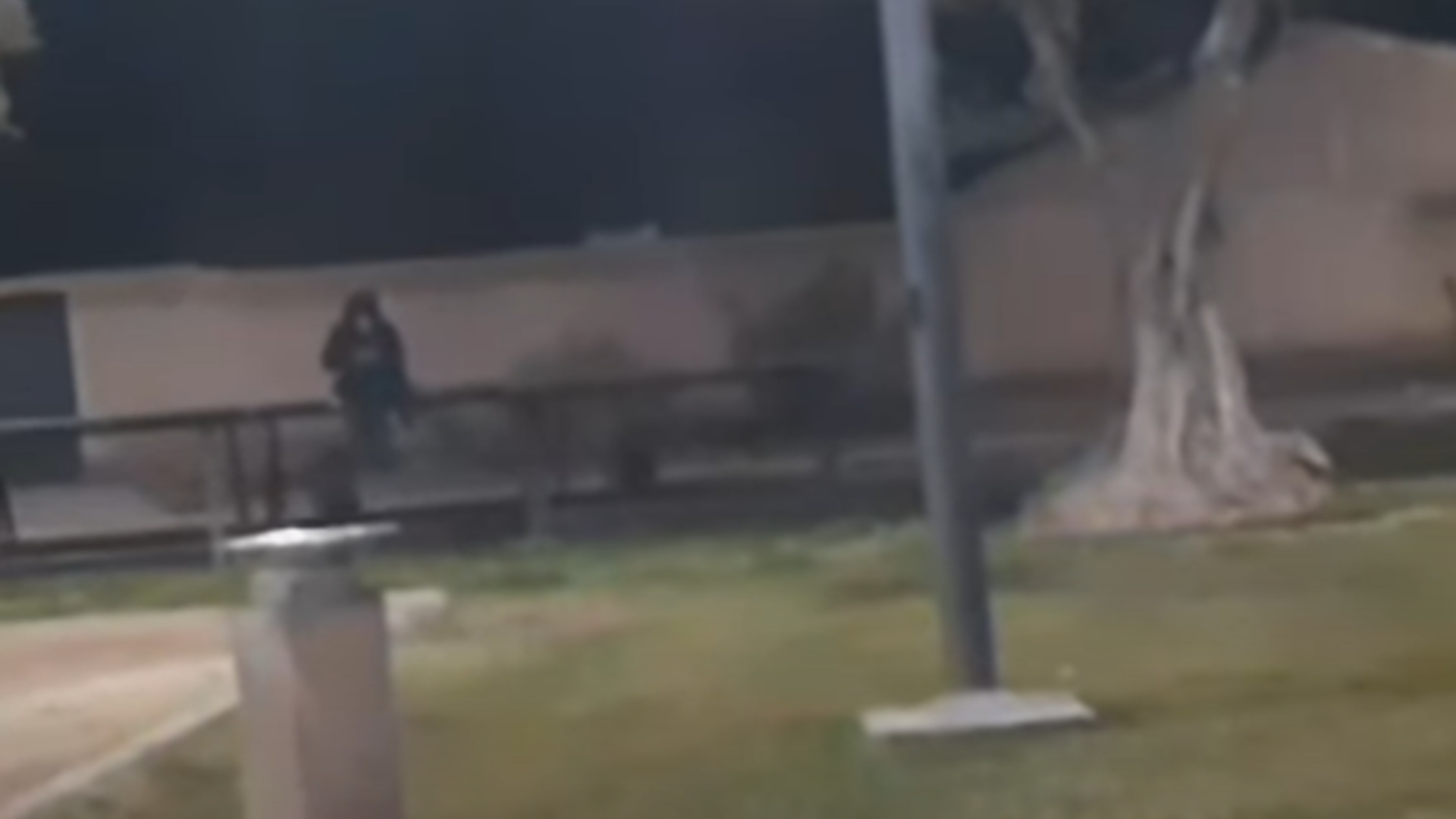 Floresta Encantada Névoa Mágica Misteriosa Noite — Foto © erika8213  #415074422, image size:1920x1080