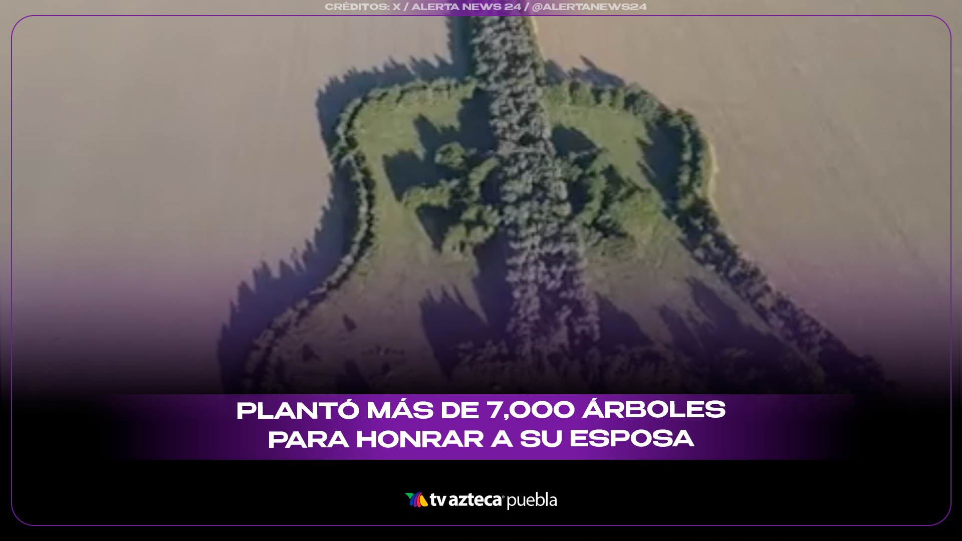 Un bosque en forma de guitarra: el homenaje que emociona al mundo.