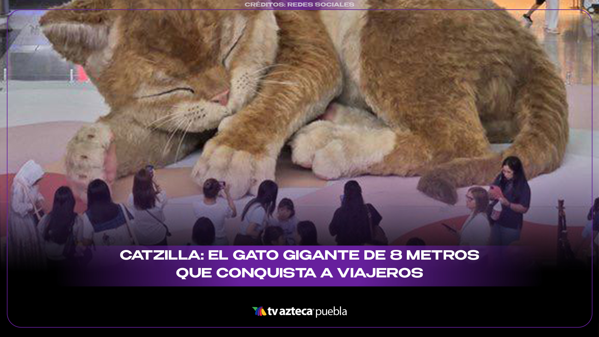 Catzilla: el gato gigante de 8 metros que conquista a viajeros en Hong Kong