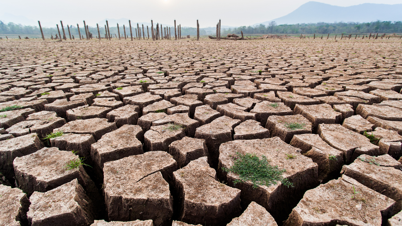¿EUA se queda sin agua potable? Las predicciones no son alentadoras