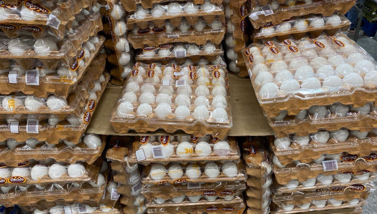 No gastes de más: Profeco revela las tiendas que ofrecen el paquete de huevo blanco más barato