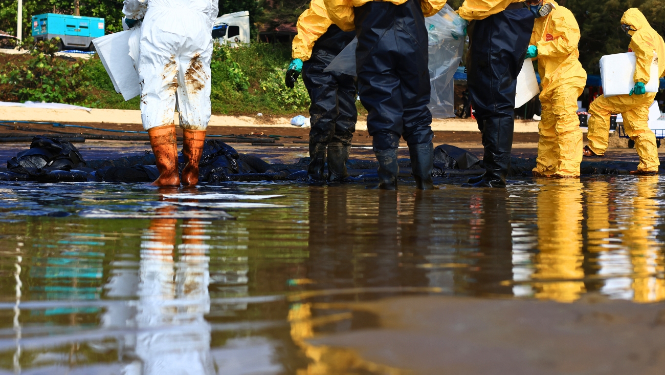Rocío Nahle minimiza desastre petróleo en Veracruz; mueren decenas de delfines y tortugas