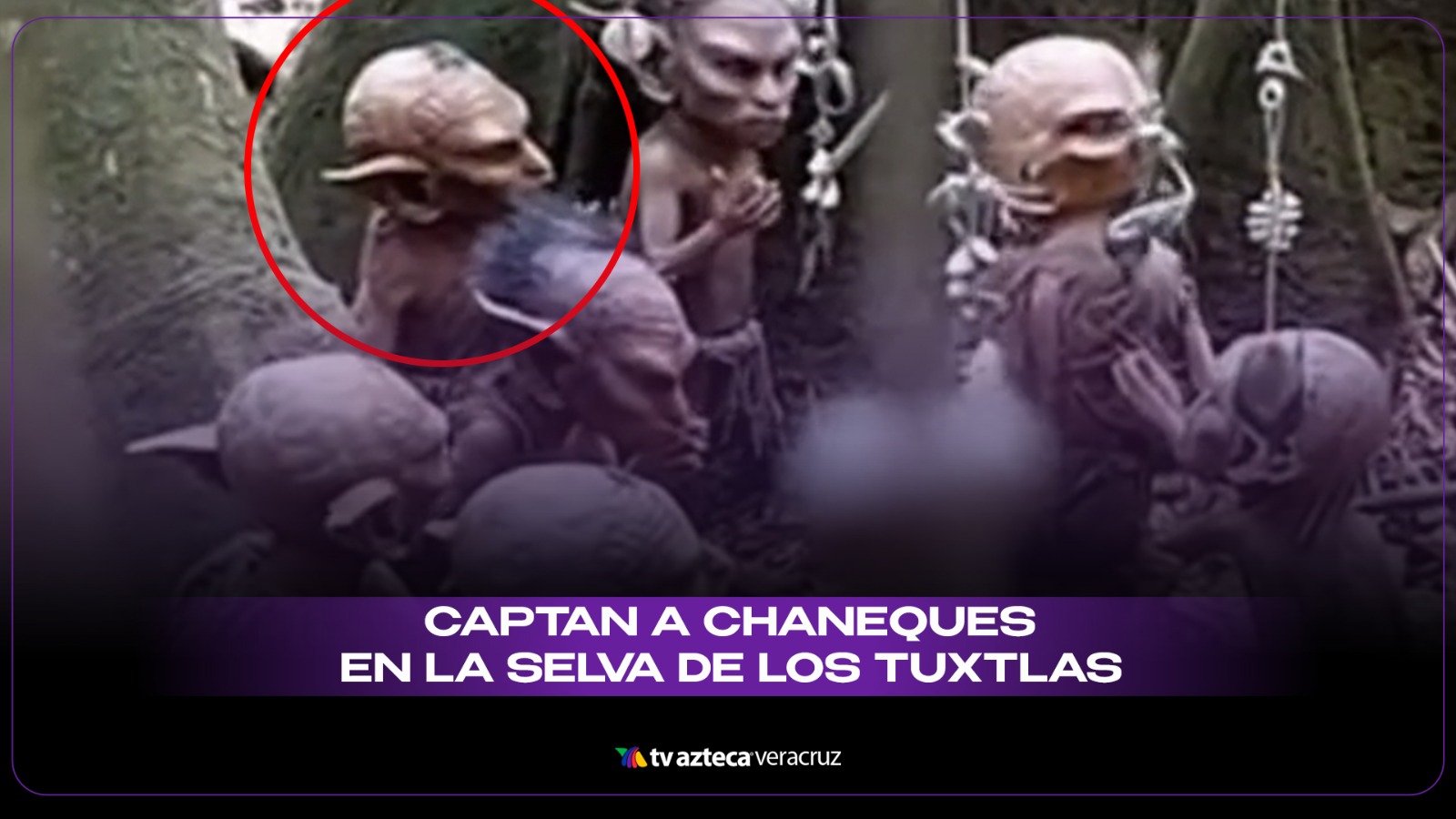 Chameques ¿Hay chaneques en la Selva de Los Tuxtlas en Veracruz?
