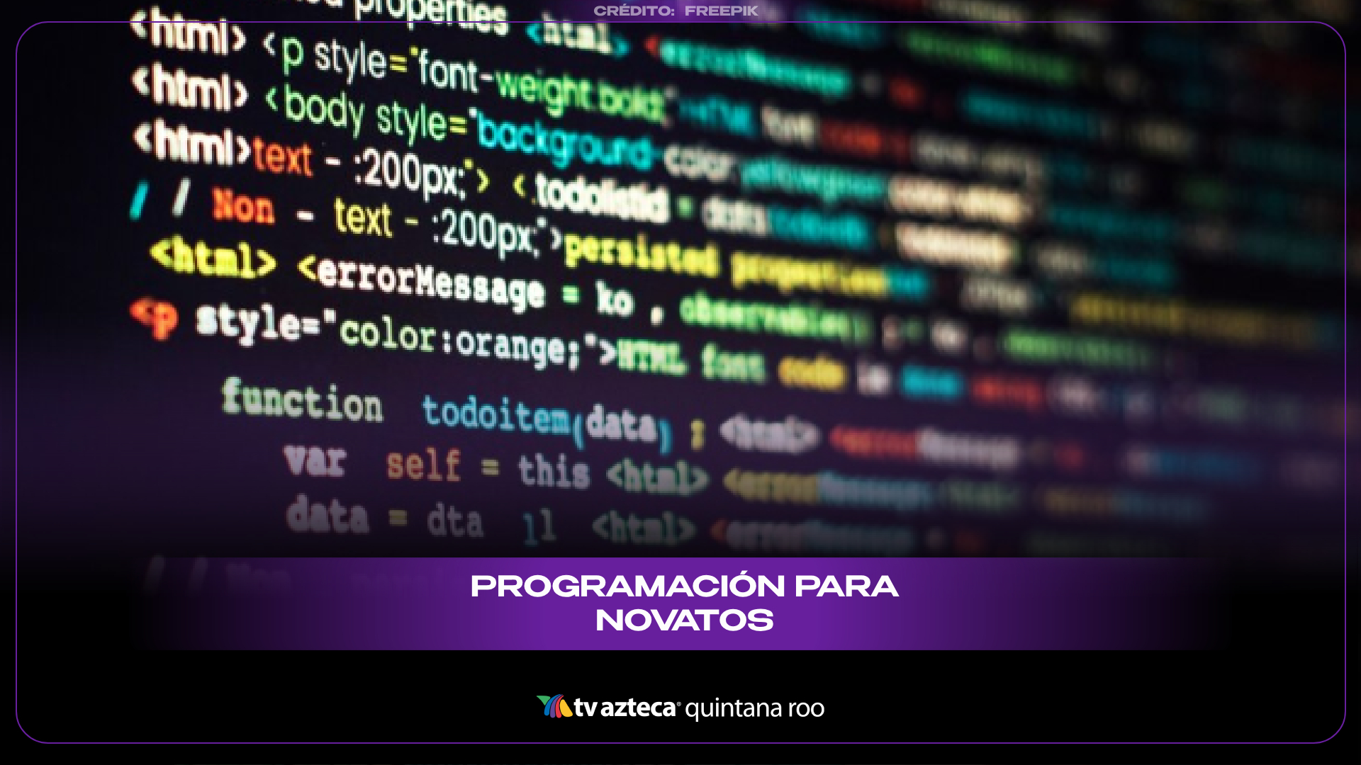 Programación para Novatos: Entiende los pilares del código