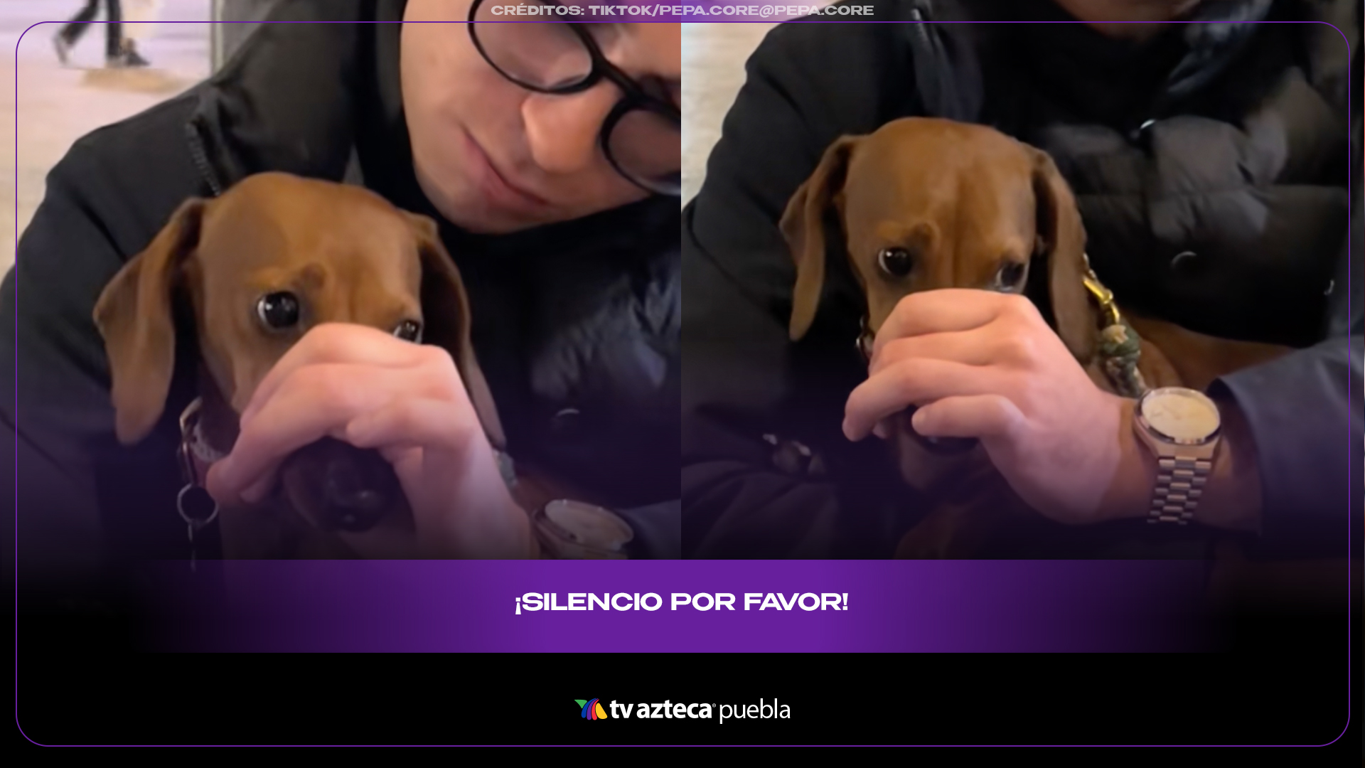 Dueño evita pelea de perrito salchicha en restaurante y causa risas