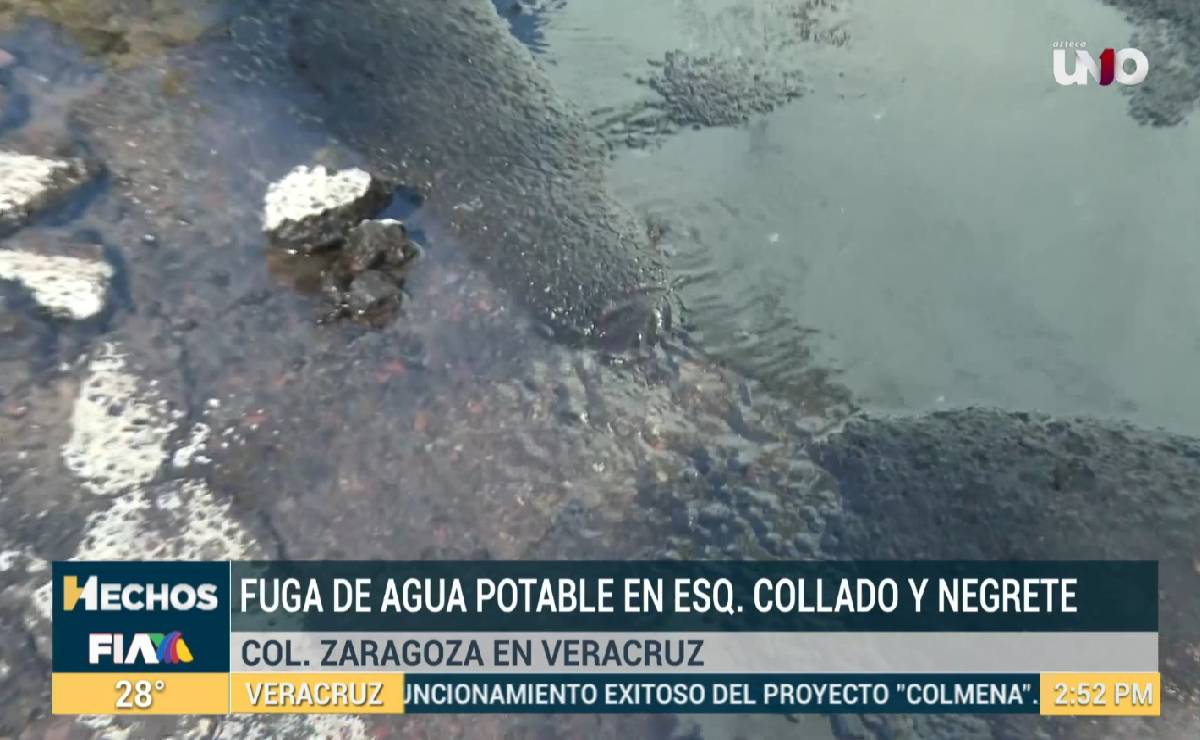 Vecinos denuncias fuga de agua en colonia Zaragoza