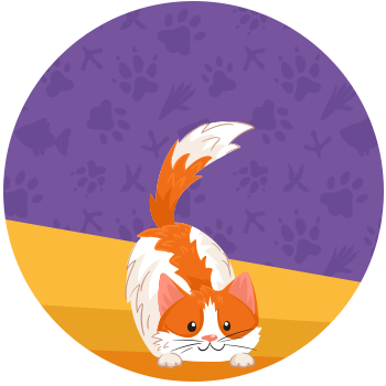 Gatitos