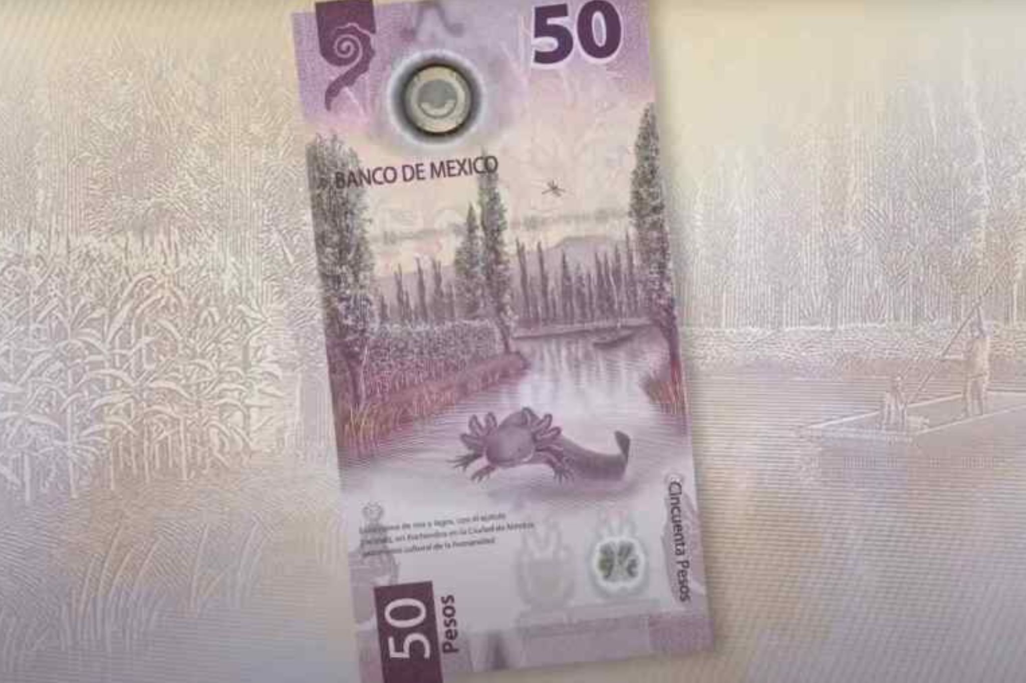 ¿Cuál es el billete de 50 pesos que vale millones?