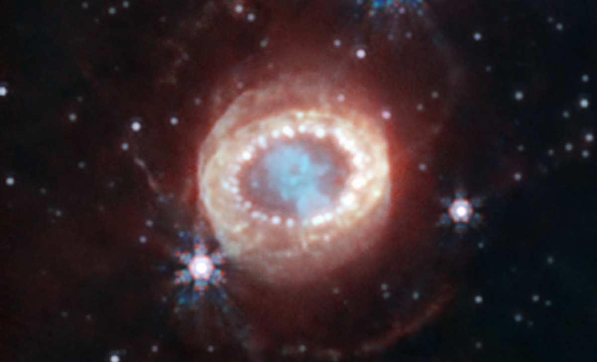 Telescopio James Webb de la NASA captura una impactante supernova en el ...