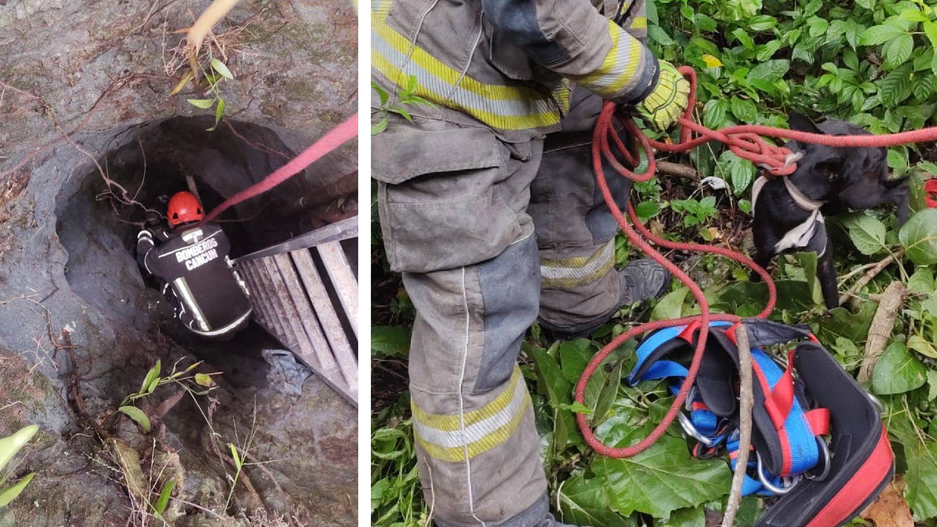Bomberos rescatan a un perro dentro de un pozo en Cancún, estaba a más ...