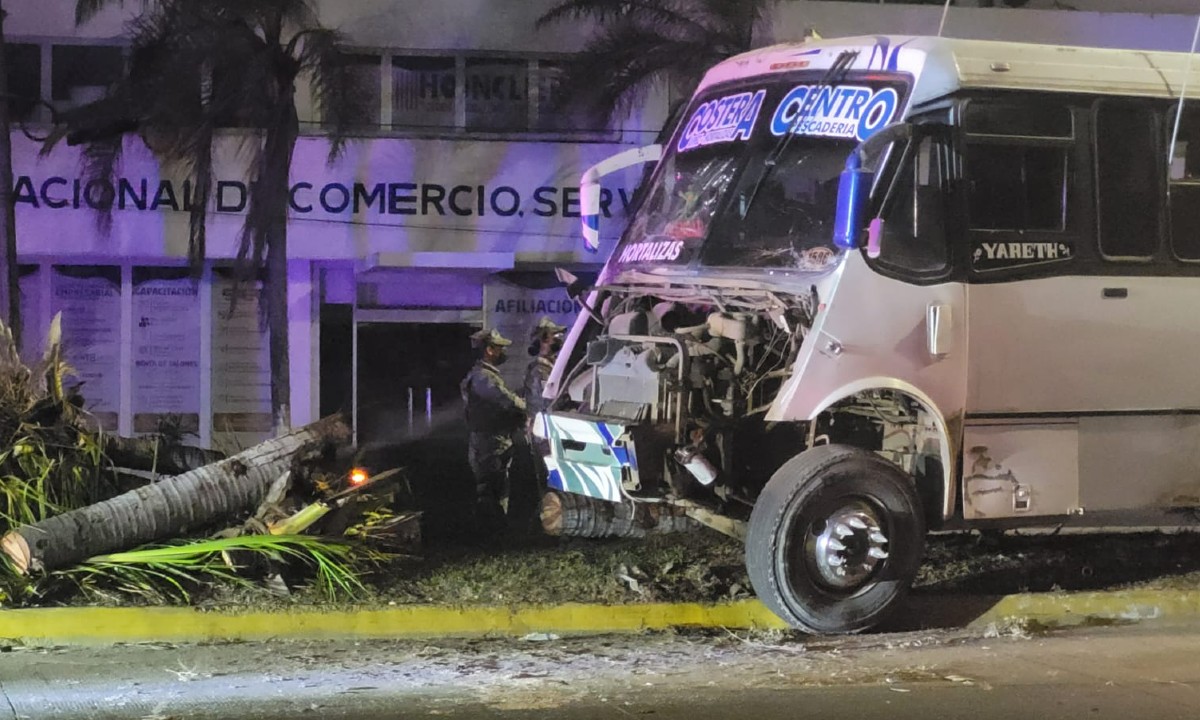 Autobús sin frenos y choca contra palmeras en Veracruz