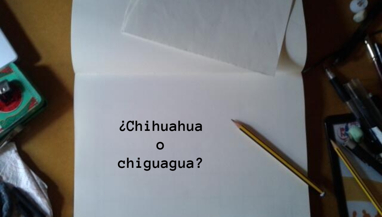 Chihuahua o chiguagua ¿Cómo se escribe? La RAE responde