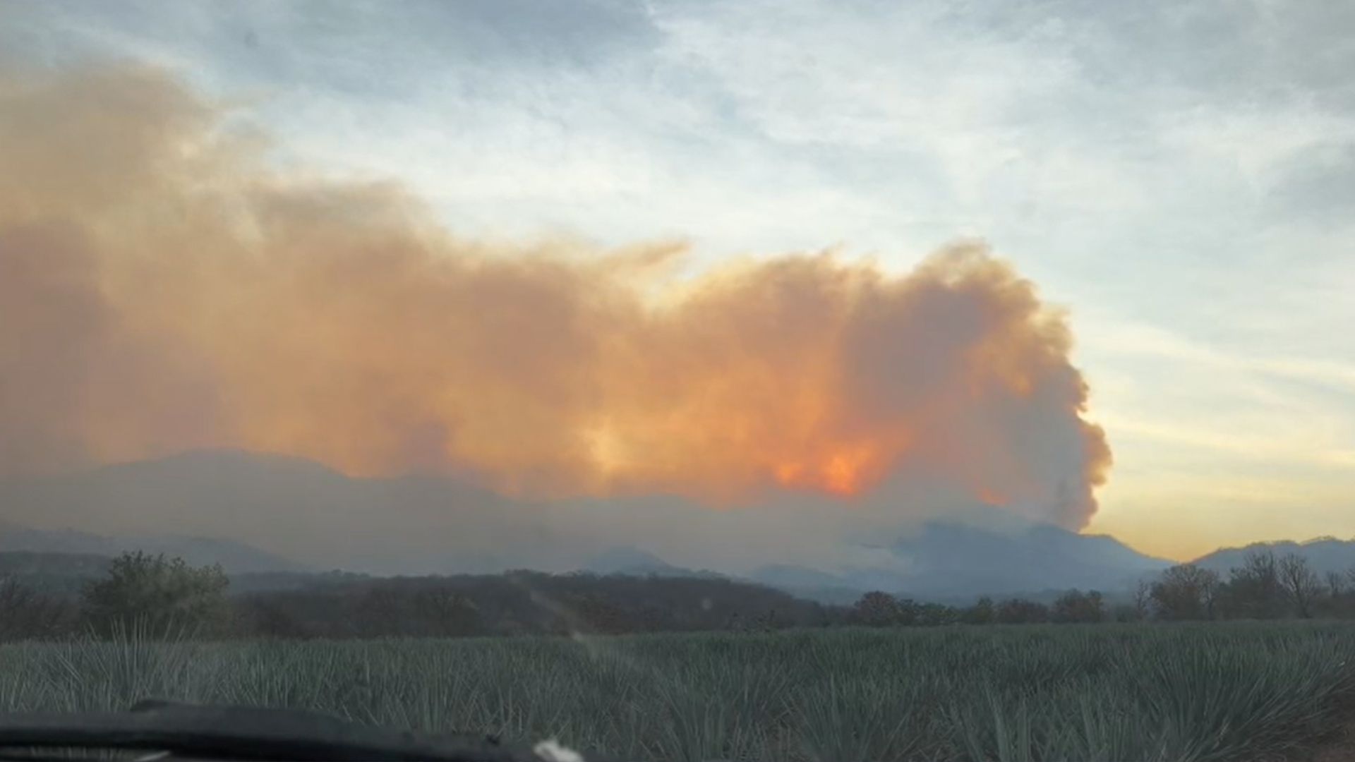Incendio forestal Sierra de la Mora, Magdalena, controlado al 30 por ciento