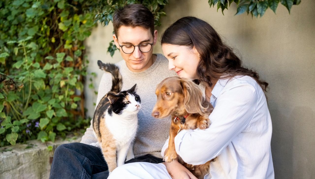 Nueva Ley De Tráfico: ¿Más Protección Para Los Animales?  Descúbrelo Aquí. - 8sb4cdj