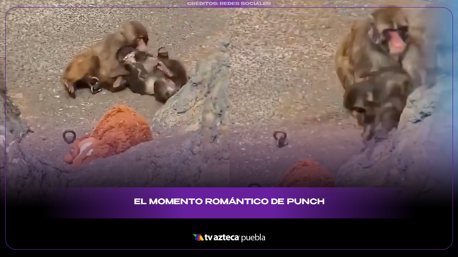 Punch y su novia huyen al ser descubiertos en un momento romántico