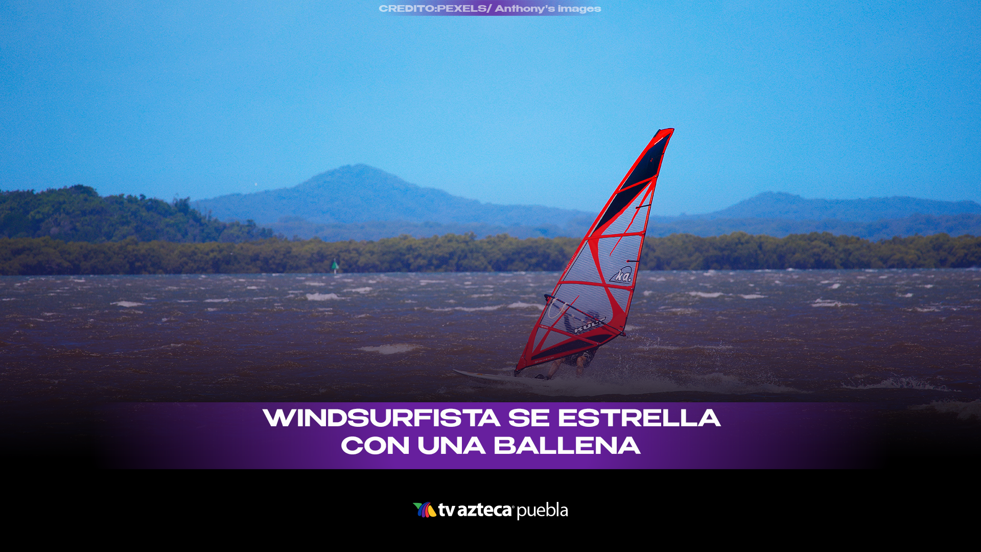 Impactante choque: windsurfista se estrella con ballena en San Francisco