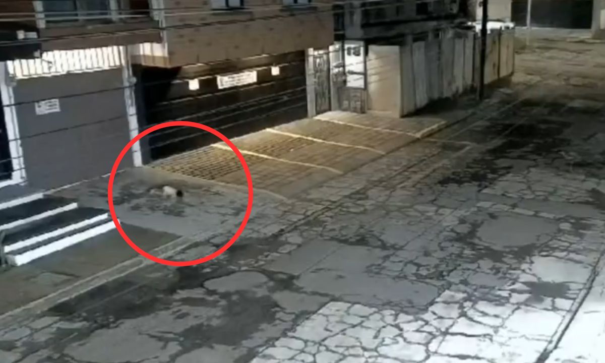 VIDEO: Bebé cae desde un balcón durante la madrugada en Puebla