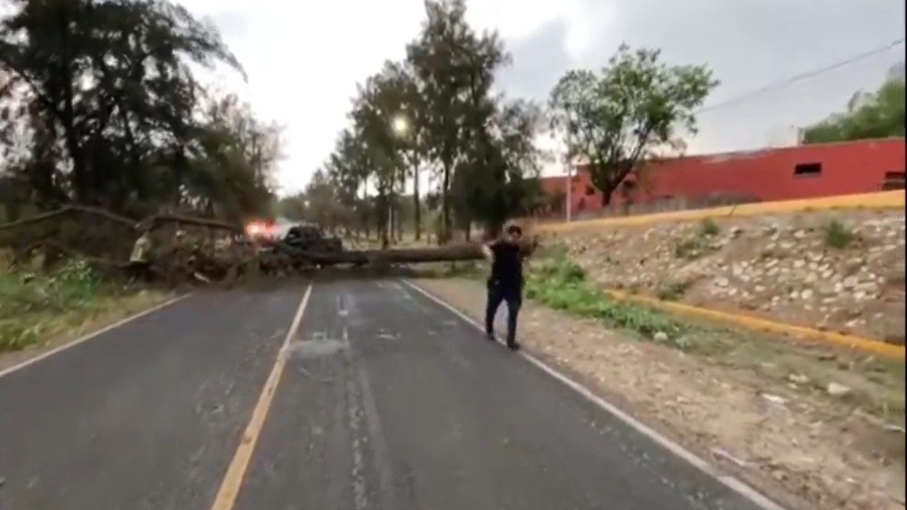 VIDEO: Policía de Tehuacán agrede y detiene a reportero durante cobertura ¿Qué fue lo qué pasó?