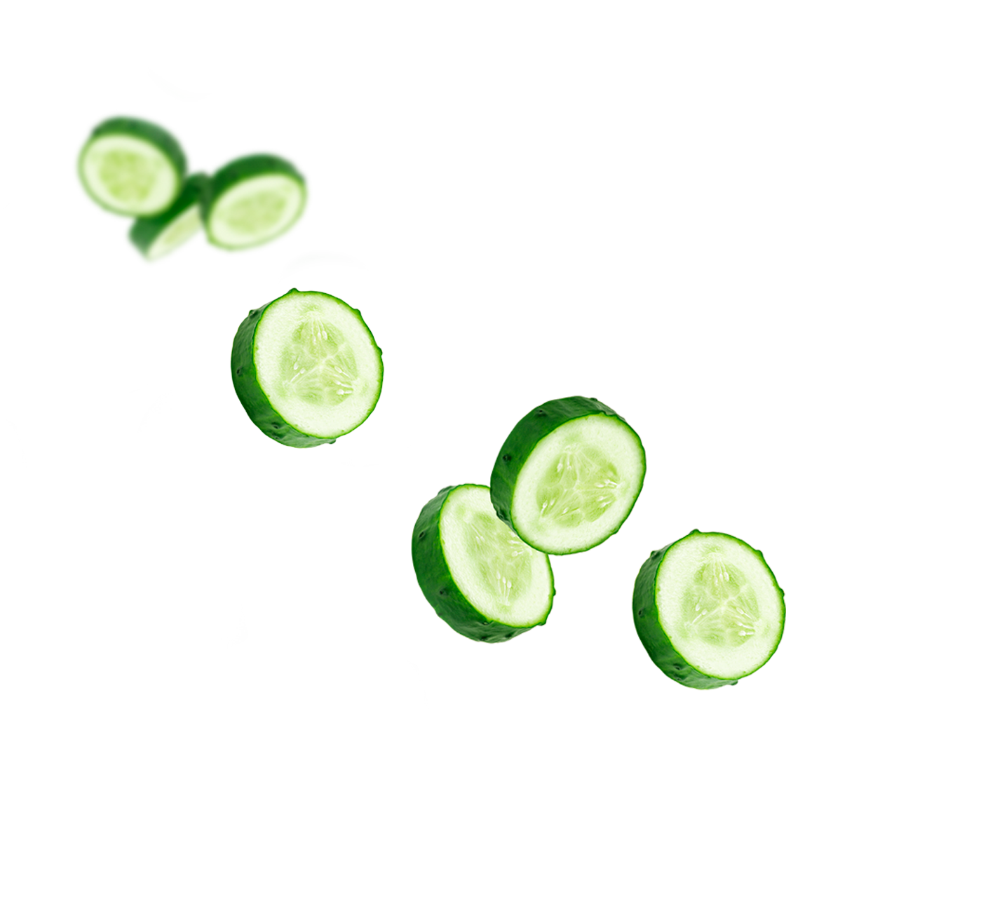 Participante kilotón