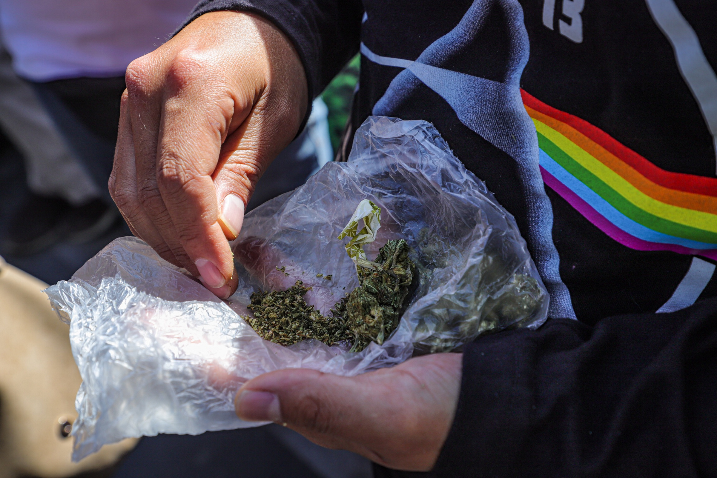 Debate sobre despenalización de la marihuana avanza en el Senado
