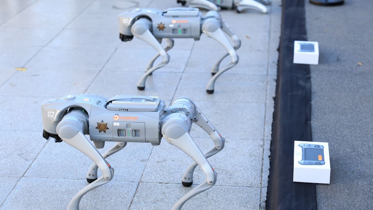 Cuidadito con participar en riñas porque perros robot estarán vigilando el Mundial 2026