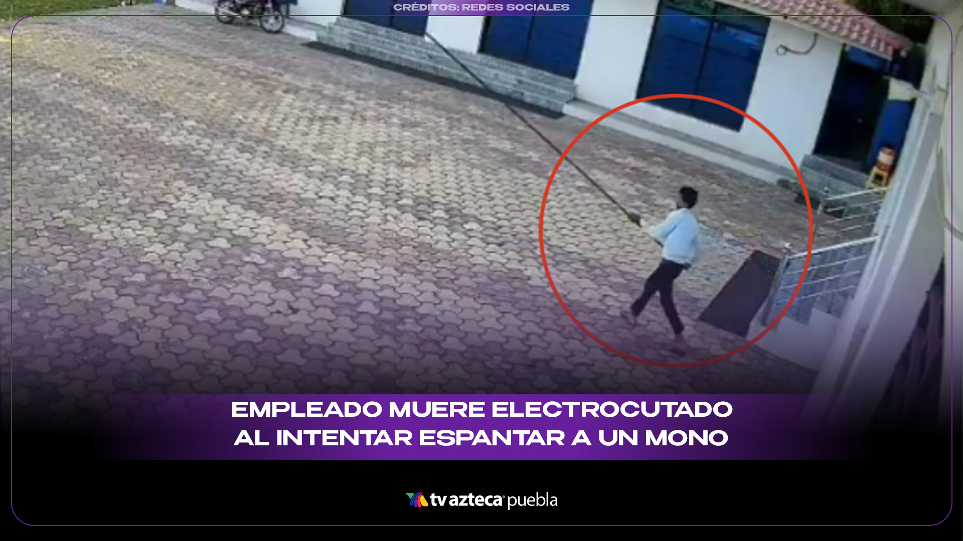 Empleado muere electrocutado al intentar espantar a un mono en India