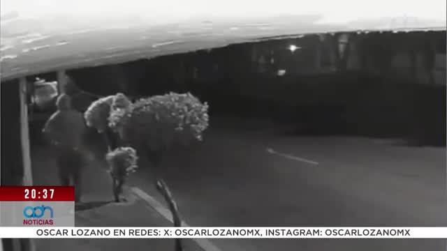 Sujeto enciende cuetes en Reforma Sur