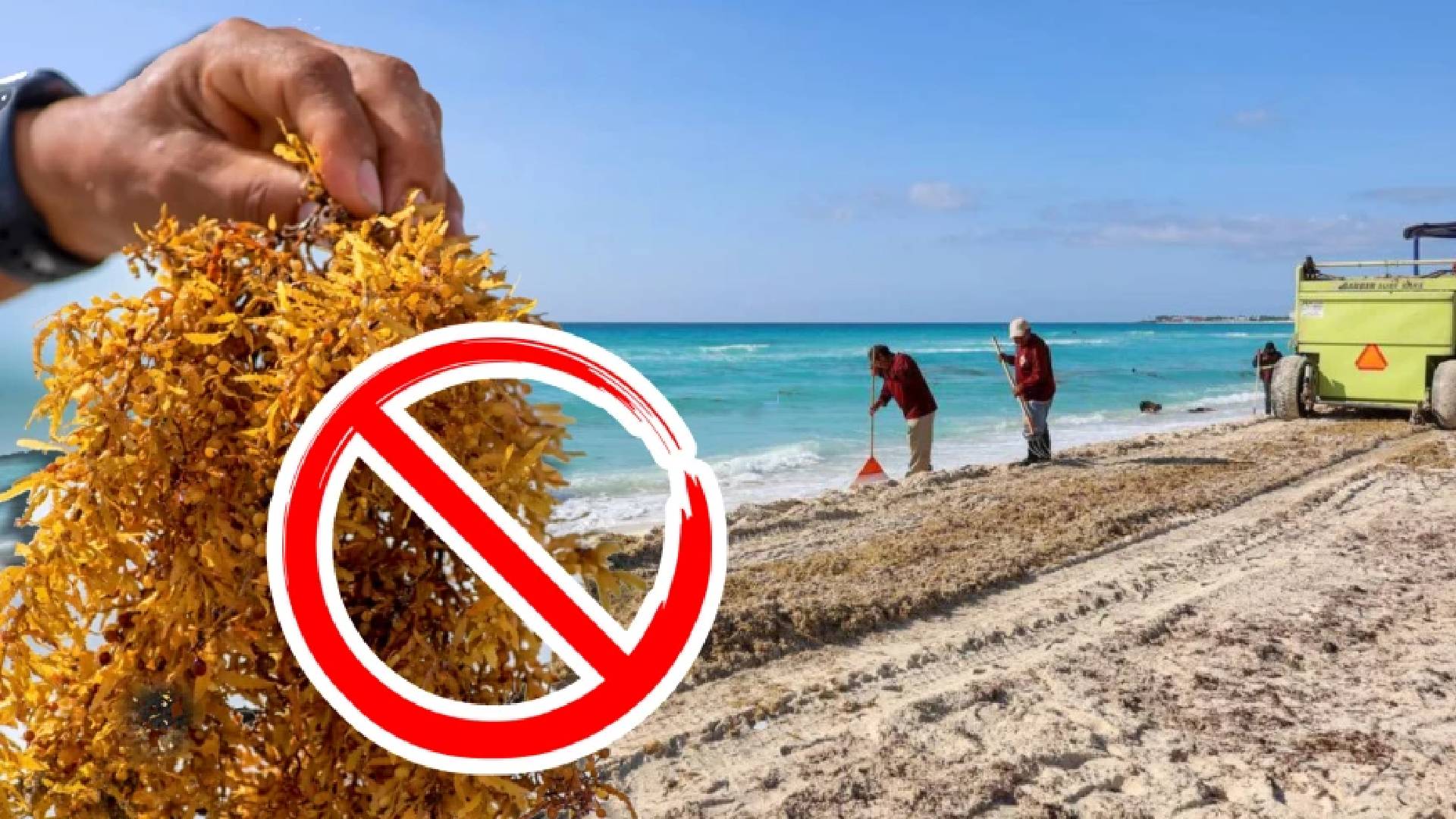 ¡ENTÉRATE! Playas sin sargazo en Cancún y todo Quintana Roo HOY 31 de ...