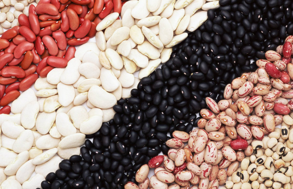 Precio del frijol, cuánto cuesta un kilo en el mercado