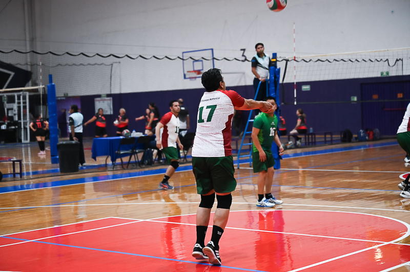 voleibol_026.jpg