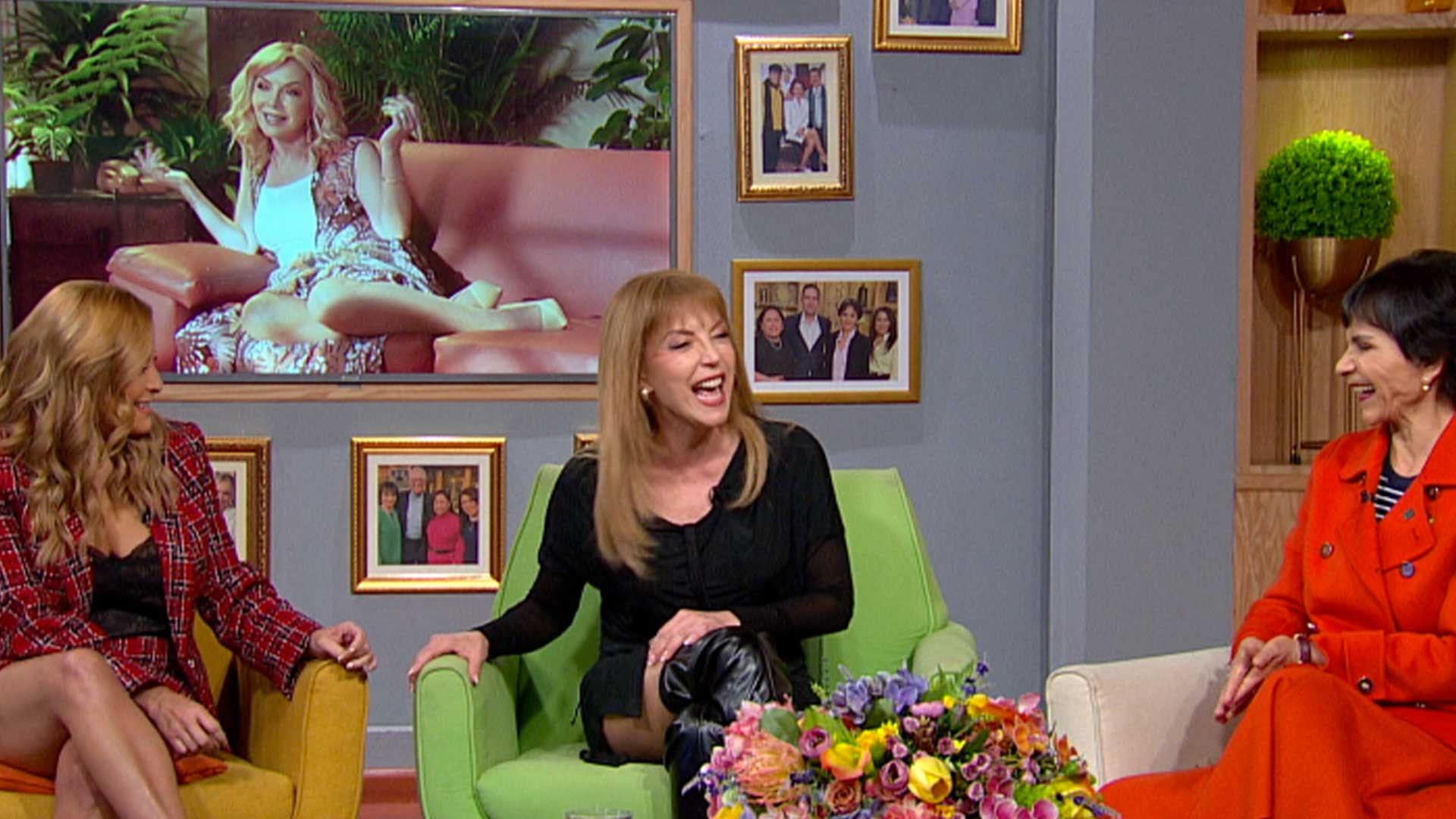 ¿Laura Flores regresa a las novelas o a la música?