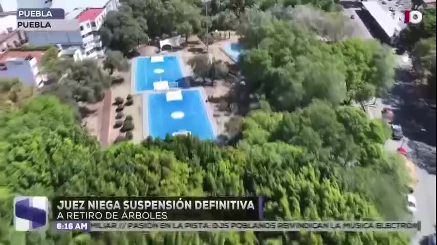No fue otorgada la suspensión definitiva al retiro de árboles derivado del cablebús de Alejandro Armenta, argumentan 
