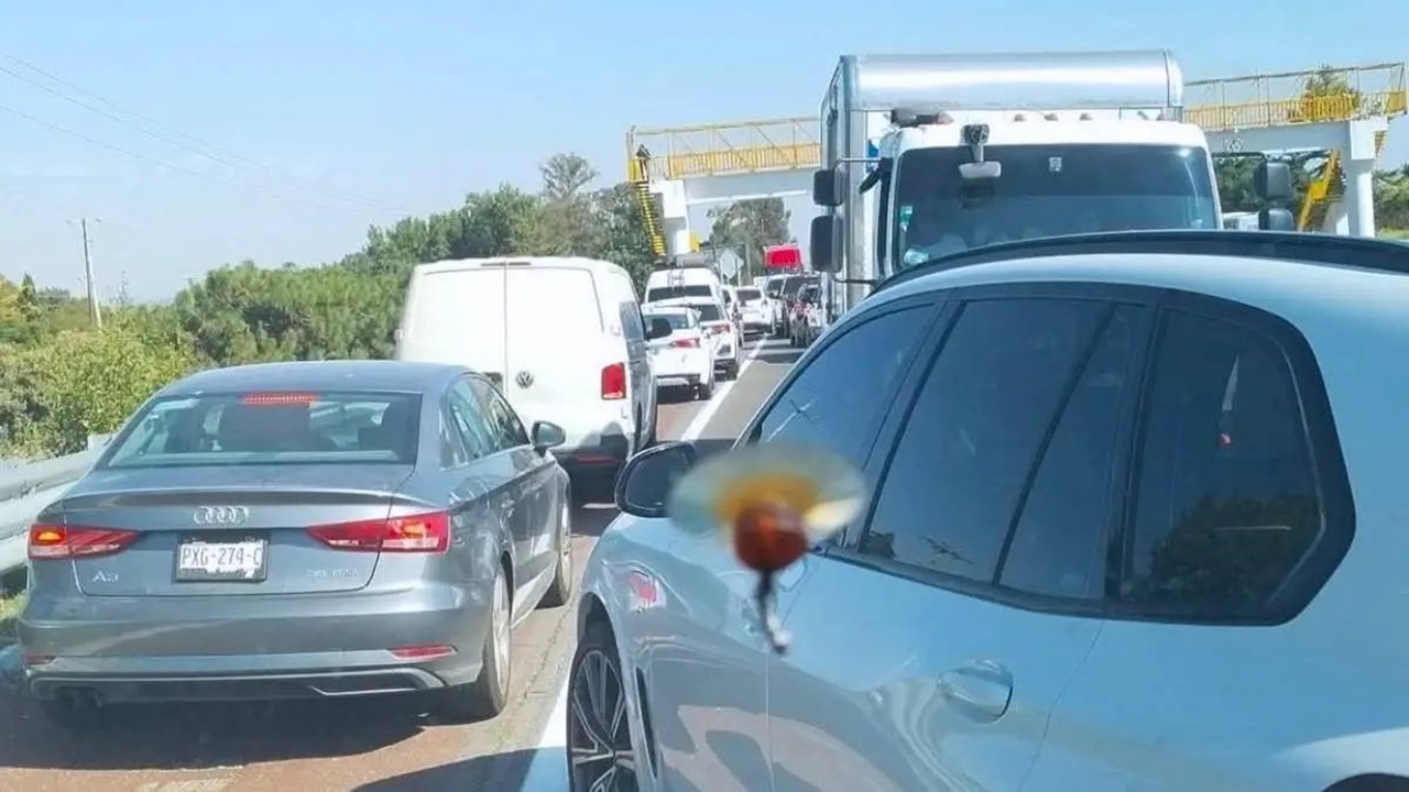 CAOS en la autopista México-Puebla hoy jueves por CIERRE y accidente; vías alternas