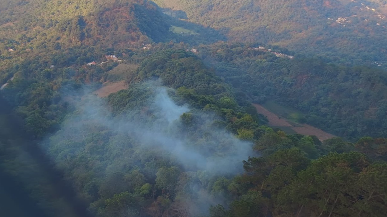 Incendios forestales en Puebla colocaron al estado entre los más afectados del país