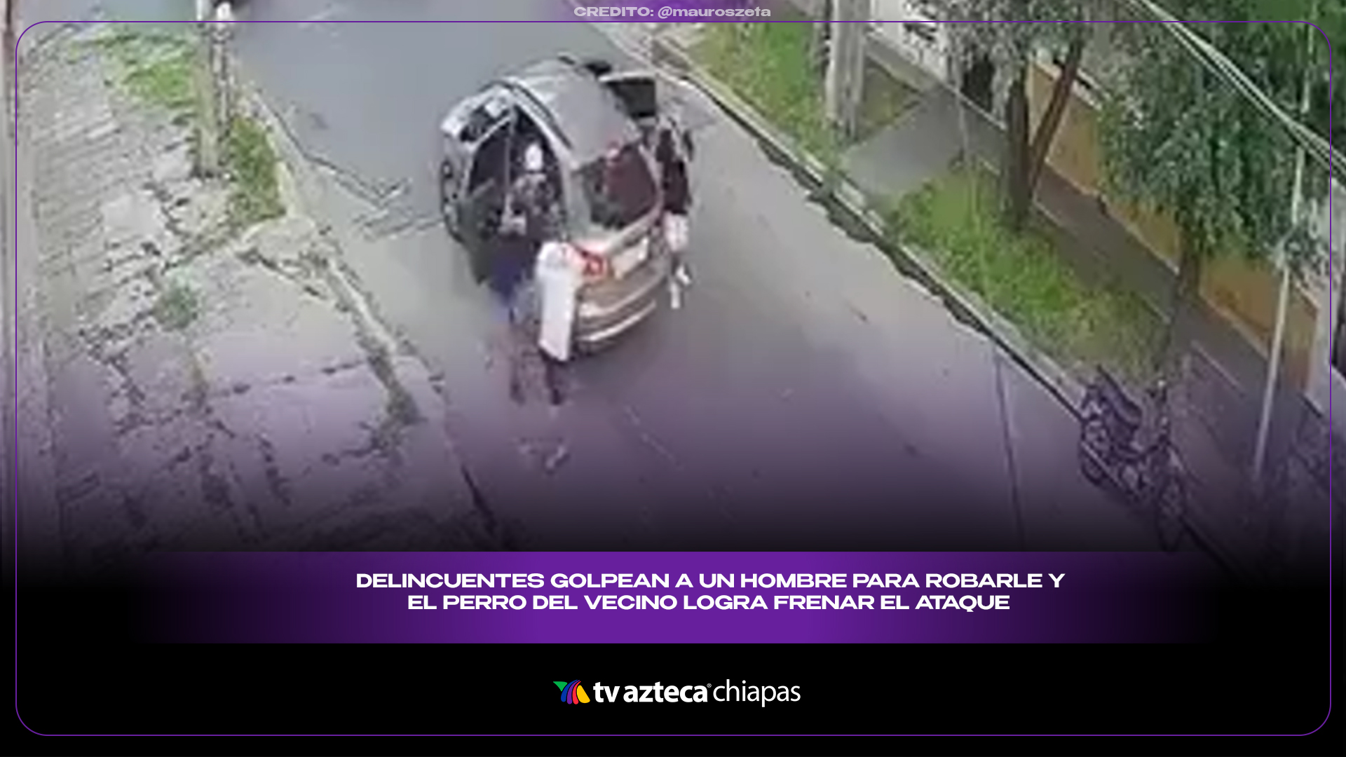 Red De Separación Para Perros En Coche - Barrera Plegable Y Antideslizante, 116x76 Cm, Para Viajes Seguros