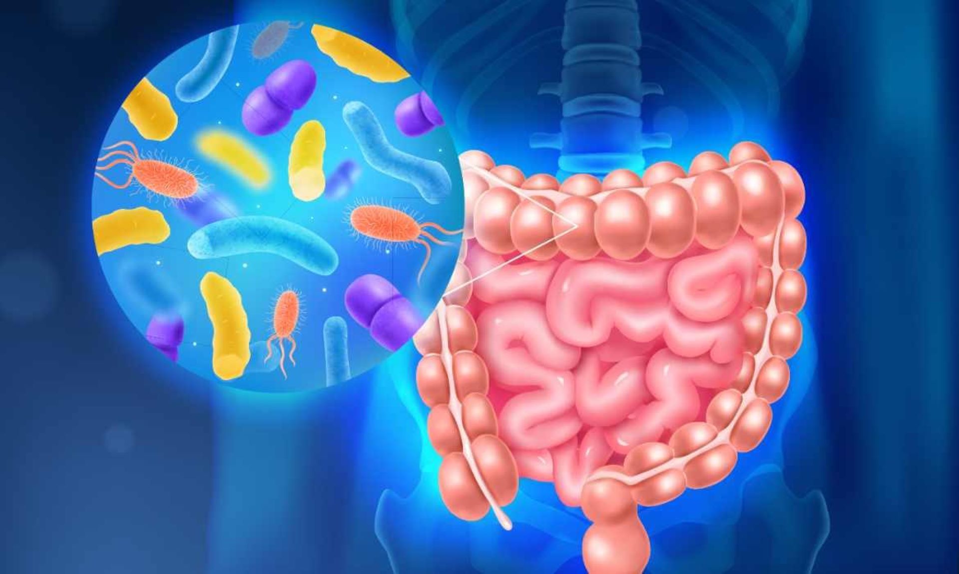 Una microbiota intestinal sana