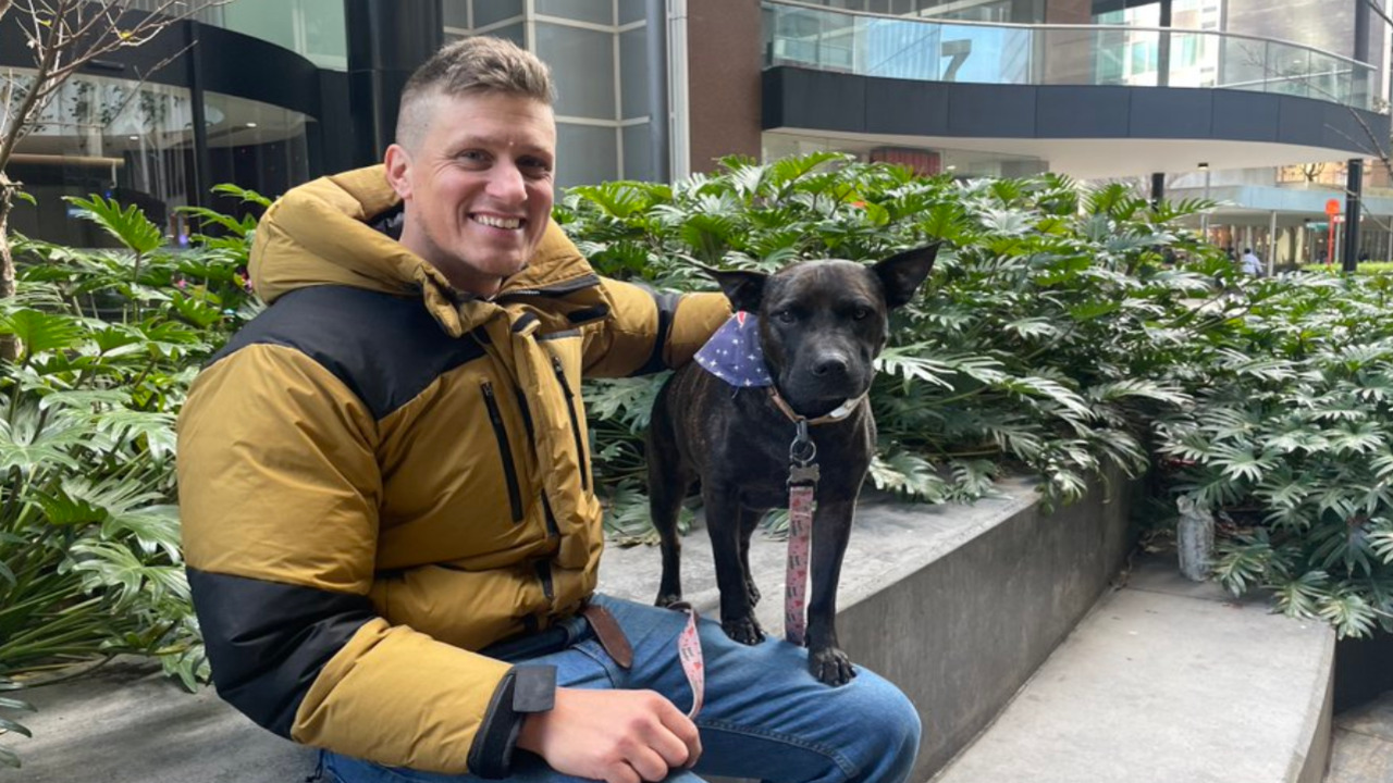 ¿Adiós farmacéuticas? Con la ayuda de IA, crea una vacuna para tratar a su perra con cáncer avanzado